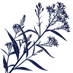 Naklejka premium blue star amsonia with leaves