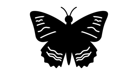 Elegant black butterfly silhouette with white details