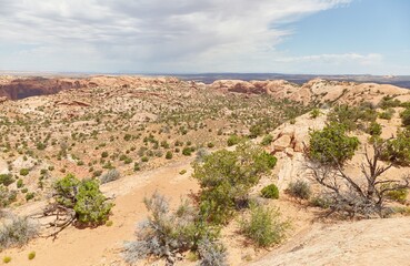 Whale Rock in Canyonlands' Island in The Sky district