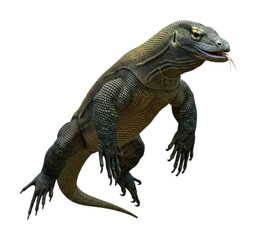 Obraz premium Komodo dragon in action nature reserve wildlife isolated on transparent background