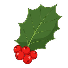 Vector Illustration of Holly Leaf and Berries in Minimalist Style for Holiday Design
