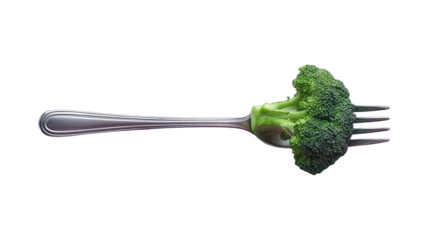 A green broccoli floret pierced by a metallic fork against a black background
