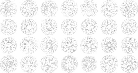 Fractal branching pattern set, circular organic structures, symmetrical tree-like forms, algorithmic growth simulation graphics, flat vector illustration