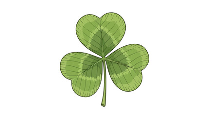 Vibrant green hand-drawn three-leaf clover illustration, a natural symbol of good luck and fortune, ideal for festive designs or botanical themes, isolated on white