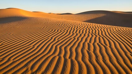 Beautiful golden sand dunes with ripples and waves in a vast desert landscape under a clear sky