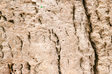 detailed close-up rough rock surface with intricate cracks and natural patterns. This textured stone showcases beauty of weathered geological textures and of erosion. close-up view of textured stone,