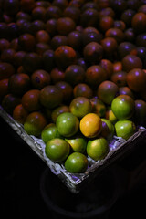 Green oranges illuminated by sunlight