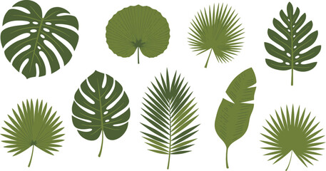 Vibrant selection of tropical palm leaf varieties ideal for energetic jungle-style artwork, branding, or creative design themes © DA Image