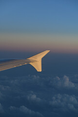 Wing side illuminated by the setting sun