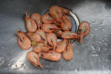 Cooked prawns in a stainless steel tank