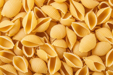 Close-up shot of uncooked conchiglie pasta shells