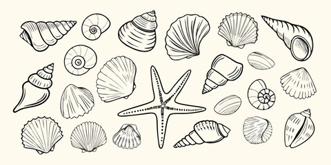Collection of hand drawn black and white line art seashells and starfish on a pale background