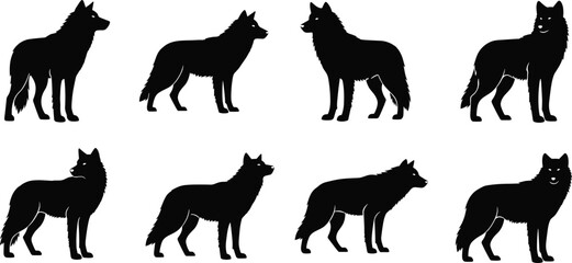 Wolf silhouette collection, posture variation set, black vector shapes, animal anatomy design, editable wildlife illustration, nature reference, profile view