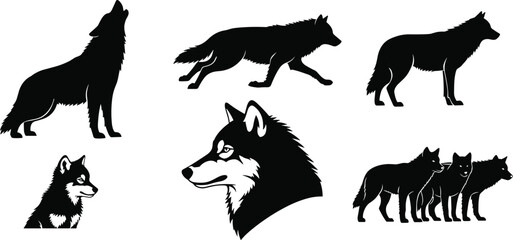 Wolf silhouette set, howling and sitting poses, walking group design, black vector shapes, animal anatomy, editable wildlife illustration