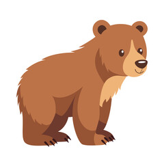 brown bear vector illustration