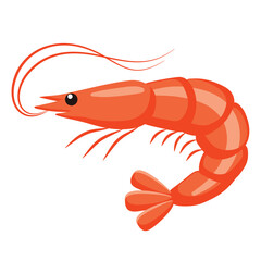 red/orange shrimp vector illustration isolated on a white background. This cartoon prawn graphic is ideal for seafood menus, culinary blogs, restaurant logos, aquaculture, 
