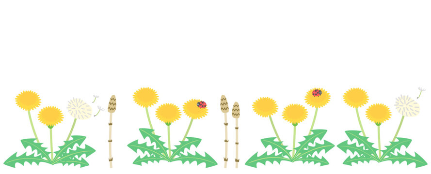 たんぽぽとつくしの背景イラスト