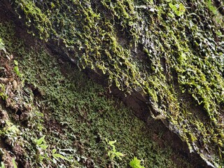 梅ヶ瀬渓谷の晩秋