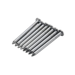 Steel common nails in a row, essential hardware for building