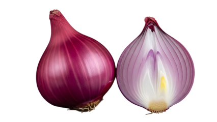 Two red onions halved displaying interior structure isolated on transparent background