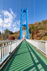竜神大吊橋