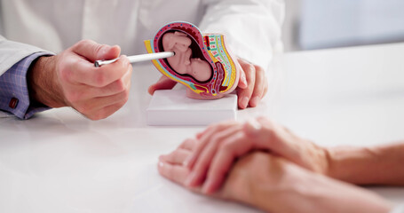 Pregnant Woman Consulting With Female Gynecologist
