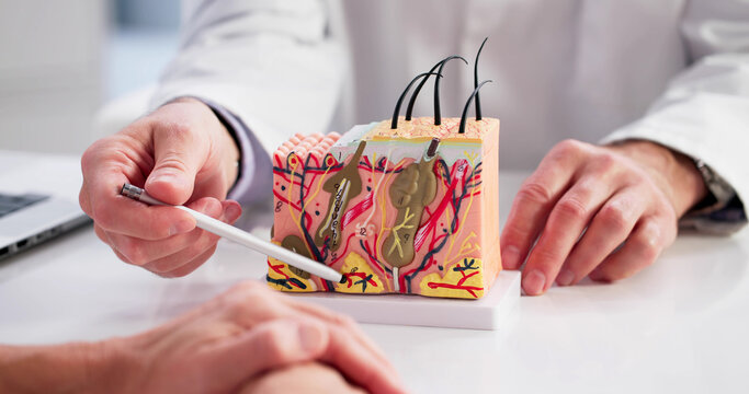 Skin Structure Analysis: Dermatologist Demonstrates Treatment Options