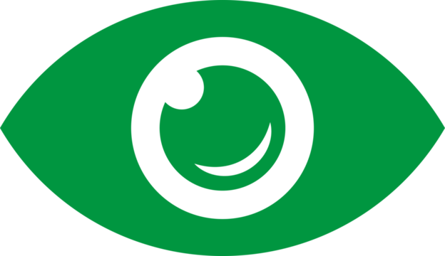 Green eye icon with solid pupil and outline vector illustration