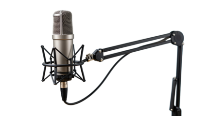 Professional Microphone with Suspension Arm and Pop Filter