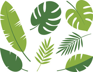 Simple vector set of tropical leaves: monstera, banana, and palm foliage in various green shades, perfect for summer background and jungle design © Majnur