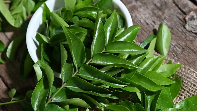 Fresh curry leaves on a dark moody background full depth of field and wooden background