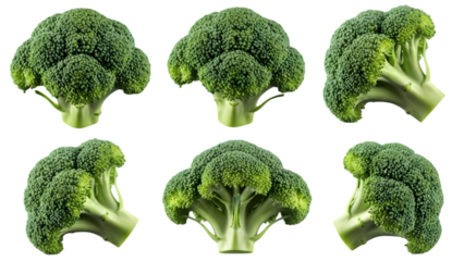 Fresh broccoli florets collection isolated on transparent background