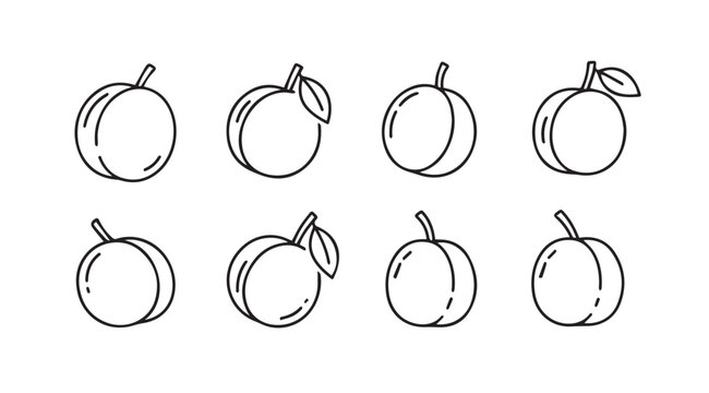 Collection of hand drawn peaches with leaves fresh fruit sketches isolated on white artistic rendering vector