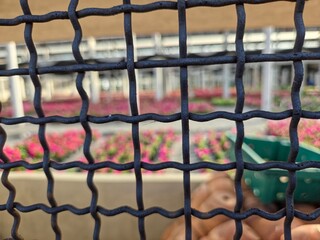 A blurred background of vibrant pink flowering plants in a nursery setting is seen through the sharp, square mesh of a metal fence or grate in the foreground.