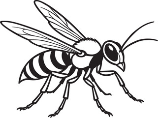 Wasp Aggressive Vector Line Illustration.eps