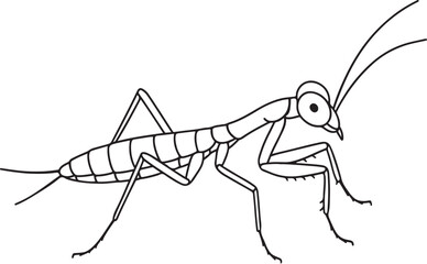 Praying Mantis Nymph Side View Slender Vector Line Illustration.eps
