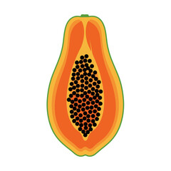 Papaya Cut Vector Illustration