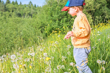 A curious little boy bends down to explore vibrant wildflowers along a path, capturing the innocence of childhood and connection to nature's beauty and diversity