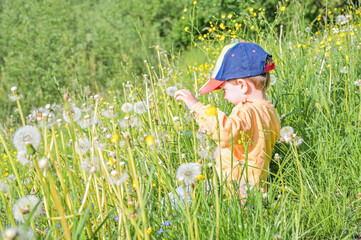 A curious little boy bends down to explore vibrant wildflowers along a path, capturing the innocence of childhood and connection to nature's beauty and diversity