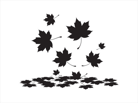 Falling Maple Leaves Silhouette Autumn Vector Illustration