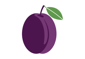 Plum Vector Illustration