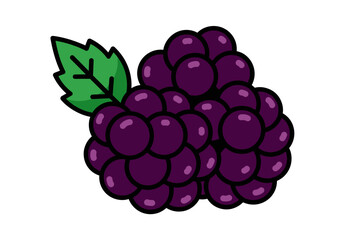 Blackberry Cluster Vector