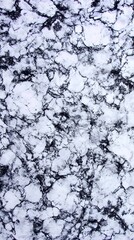 wallpaper design with natural veining and elegant white and gray tones