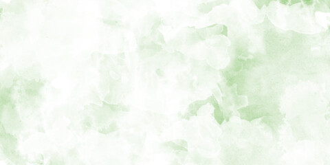 Fototapeta premium Art abstract green watercolor paint texture background, Abstract green watercolor background texture, light emerald background from a high angle view, textured background, overlay, background, dream