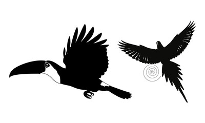 Fototapeta premium Flying toucan and macaw silhouettes. tropical bird vector art illustration on white.