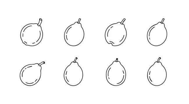 Hand drawn sketch collection of eight unique fig fruit varieties for culinary and artistic use vector