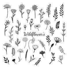 Wildflower seamless pattern, hand drawn doodle flowers, design, Retro style