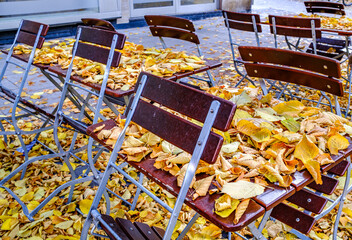wooden benches and tables at a typical bavarian beergarden