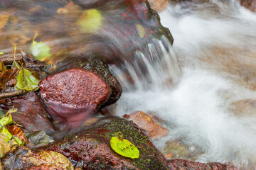 A small stream flows over smooth and rounded rocks in a forest in Skikda, Algeria.