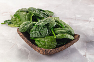 Raw green baby spinach plant